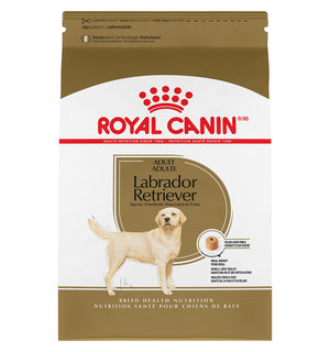 Royal Canin Royal Canin Labrador Retriever Adult