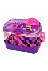 WARE Ware™ Purple Spin City Health Club WARE Ware™ Purple Spin City Health Club