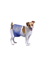 Pooch Pad Pooch Pad™ Dog PoochPants Male Wrap