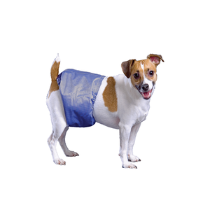 Pooch Pad Pooch Pad™ Dog PoochPants Male Wrap