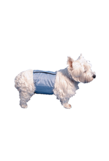 Pooch Pad Pooch Pad™ Dog PoochPants Male Wrap