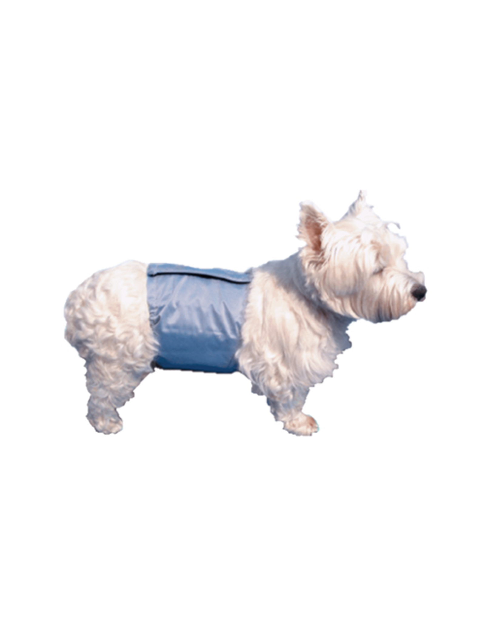 Pooch Pad Pooch Pad™ Dog PoochPants Male Wrap