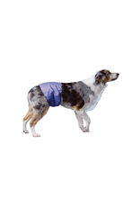 Pooch Pad Pooch Pad™ Dog PoochPants Male Wrap