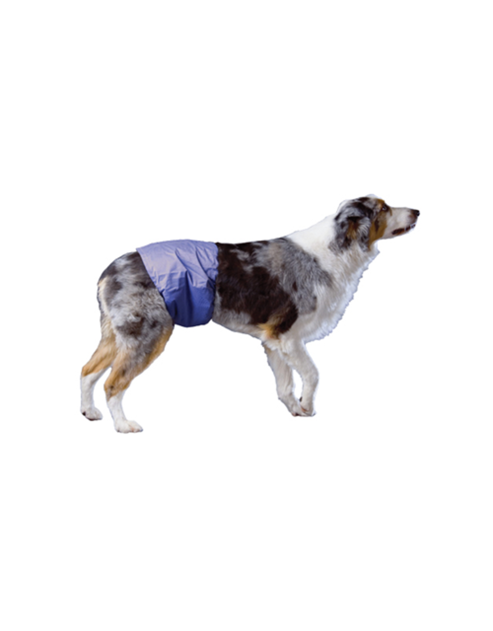 Pooch Pad Pooch Pad™ Dog PoochPants Male Wrap