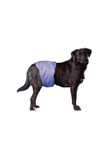 Pooch Pad Pooch Pad™ Dog PoochPants Male Wrap