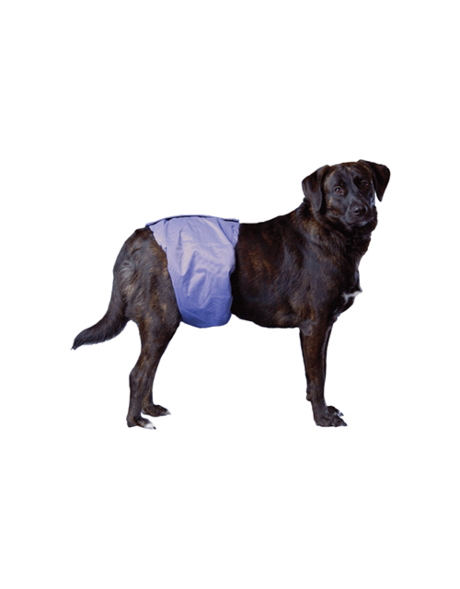 Pooch Pad Pooch Pad™ Dog PoochPants Male Wrap