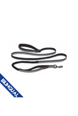 Company Of Animals Company Of Animals Dog Halti All-in-One Lead