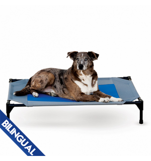 K&H K&H™ Coolin' Gel Pet Cot & Cover Grey & Blue Large