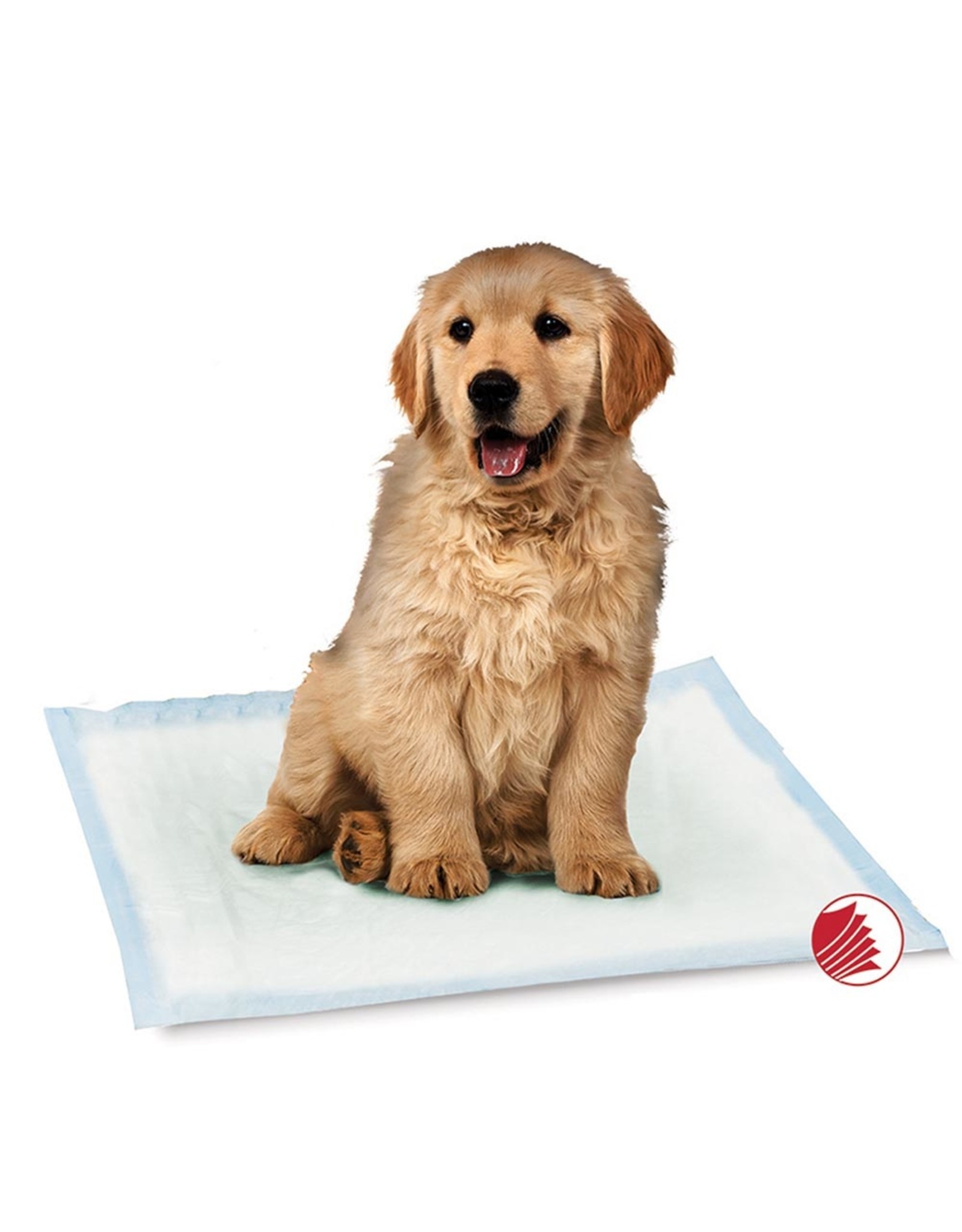 Training Pads 22x22in 30s