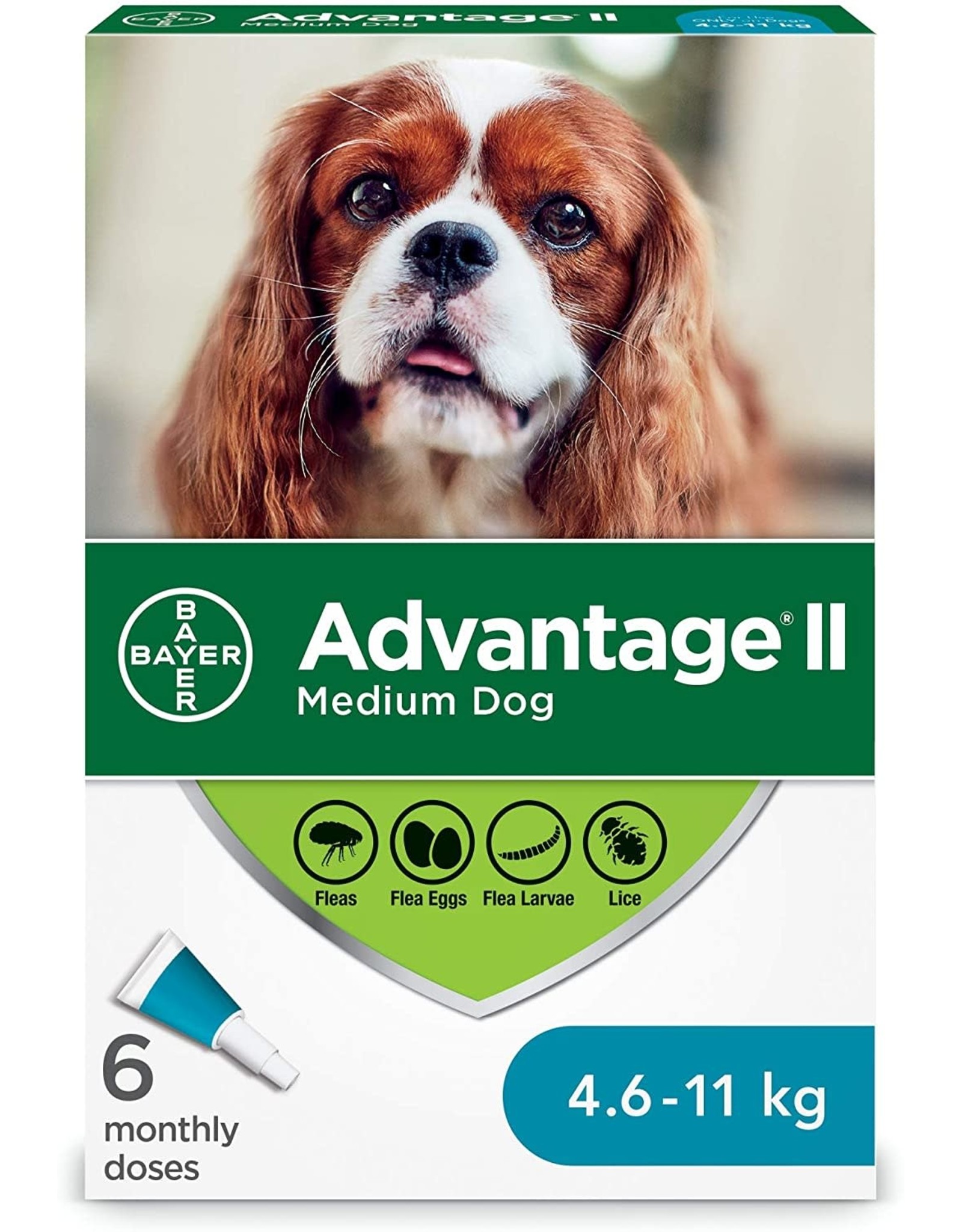 Bayer dog flea treatment hotsell