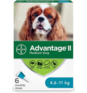 Bayer Advantage II Flea Treatment for Medium Dogs weighing 4.6 kg to 11 kg