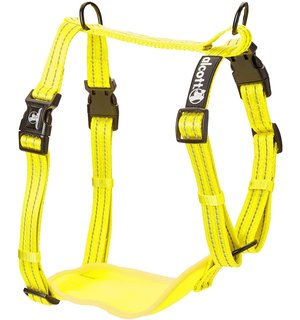 Alcott Alcott Visibility Adventure Harness