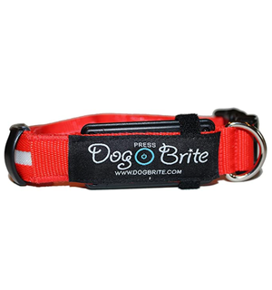 Dog Brite  Lighted Waterproof High Visibility Dog Collar