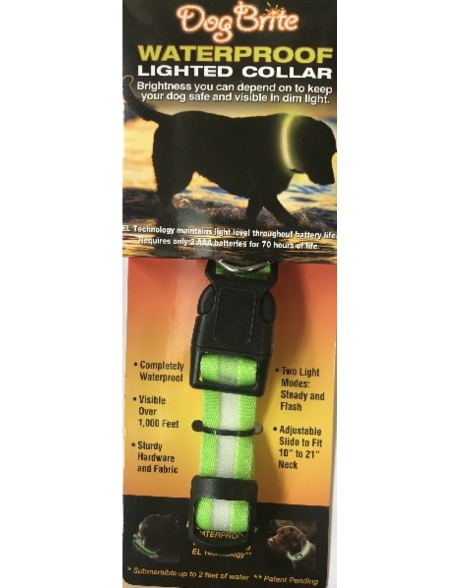 Dog Brite Waterproof Lighted Leash