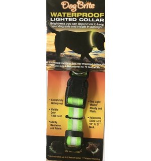 Dog Brite Waterproof Lighted Leash