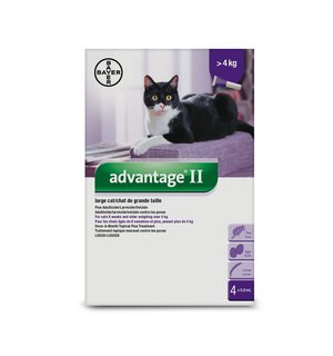 Bayer Advantage II Flea Treatment for Large Cats weighing between more than 4 kg