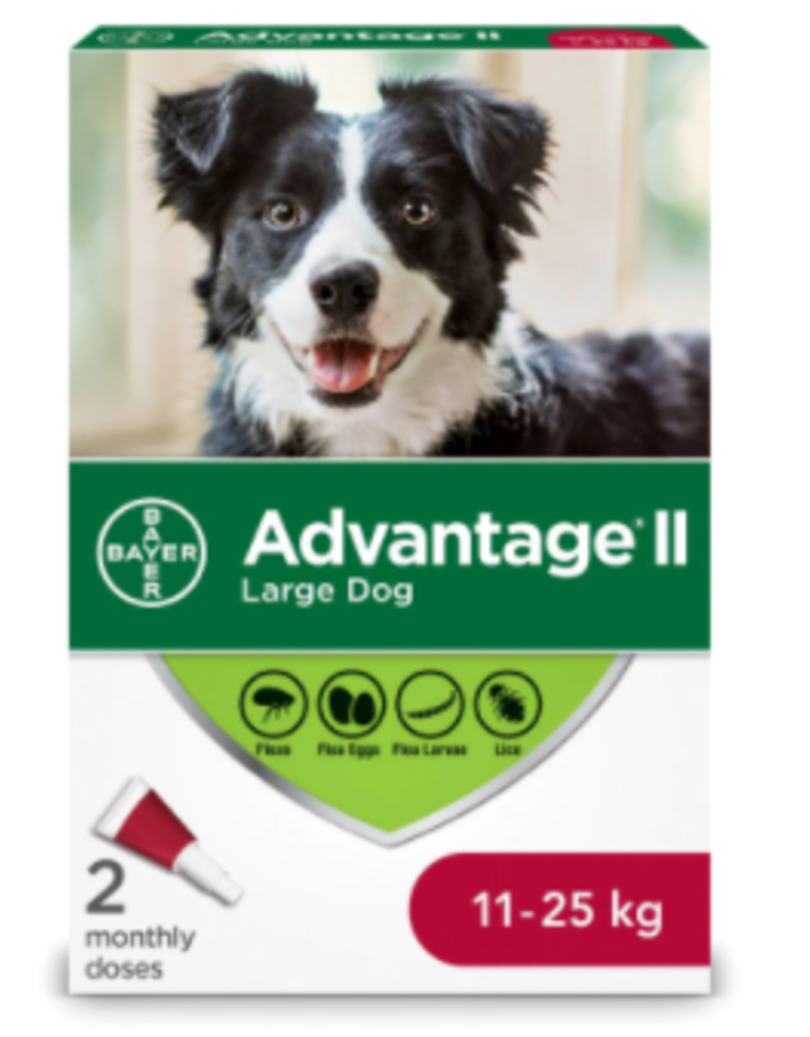 Bayer advantage 2 for dogs hotsell