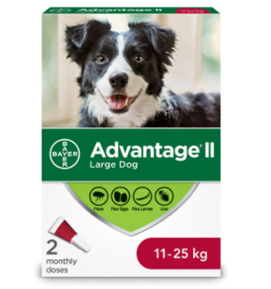 Bayer Advantage II Flea Treatment for Large Dogs weighing between 11kg -25kg