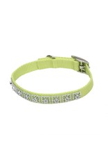 COASTAL COASTAL Nylon Jeweled Dog Collar