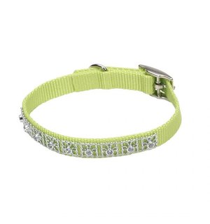 COASTAL COASTAL Nylon Jeweled Dog Collar