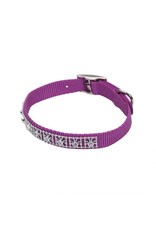 COASTAL COASTAL Nylon Jeweled Dog Collar