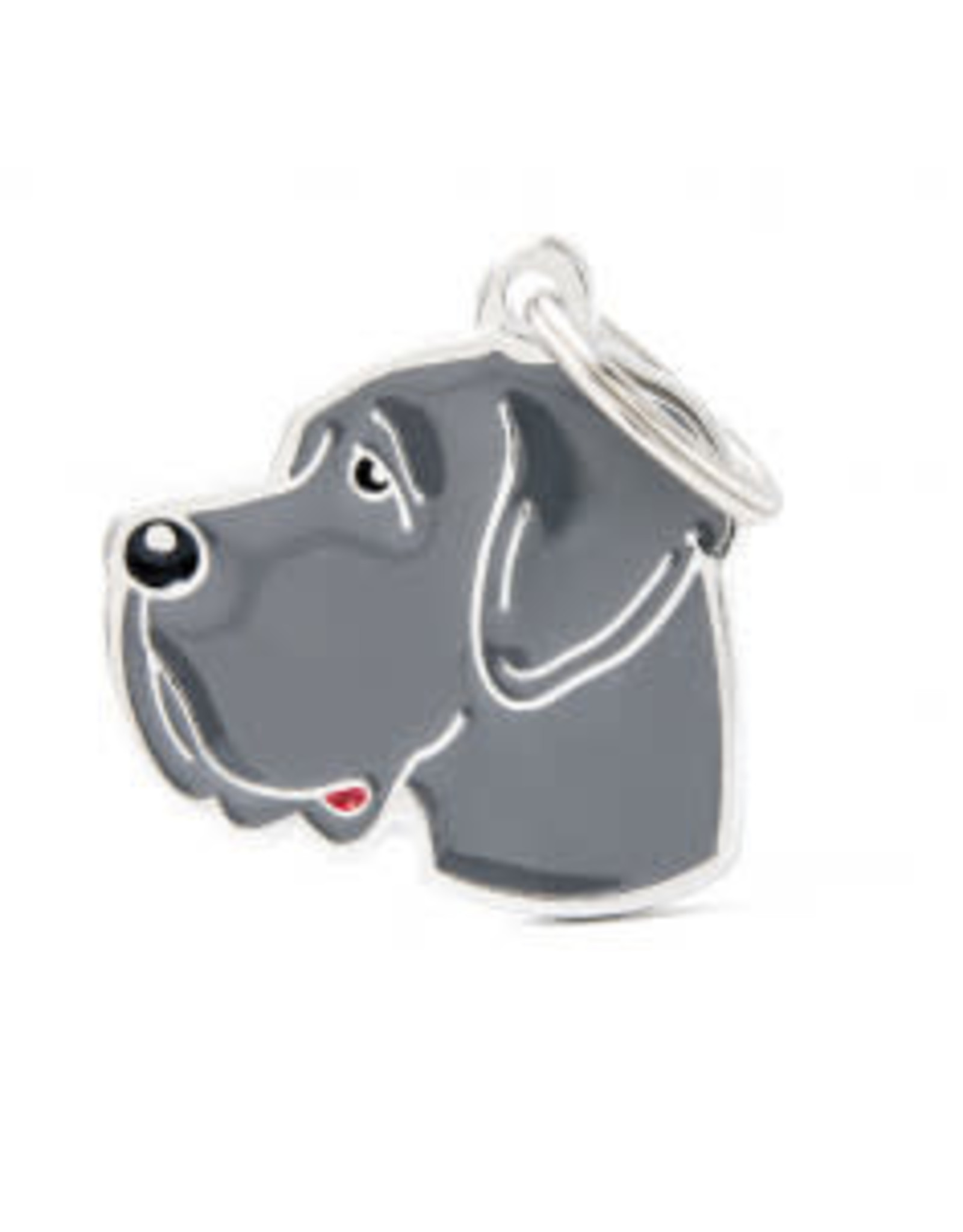 My Family Pet Tag- BLUE GREAT DANE