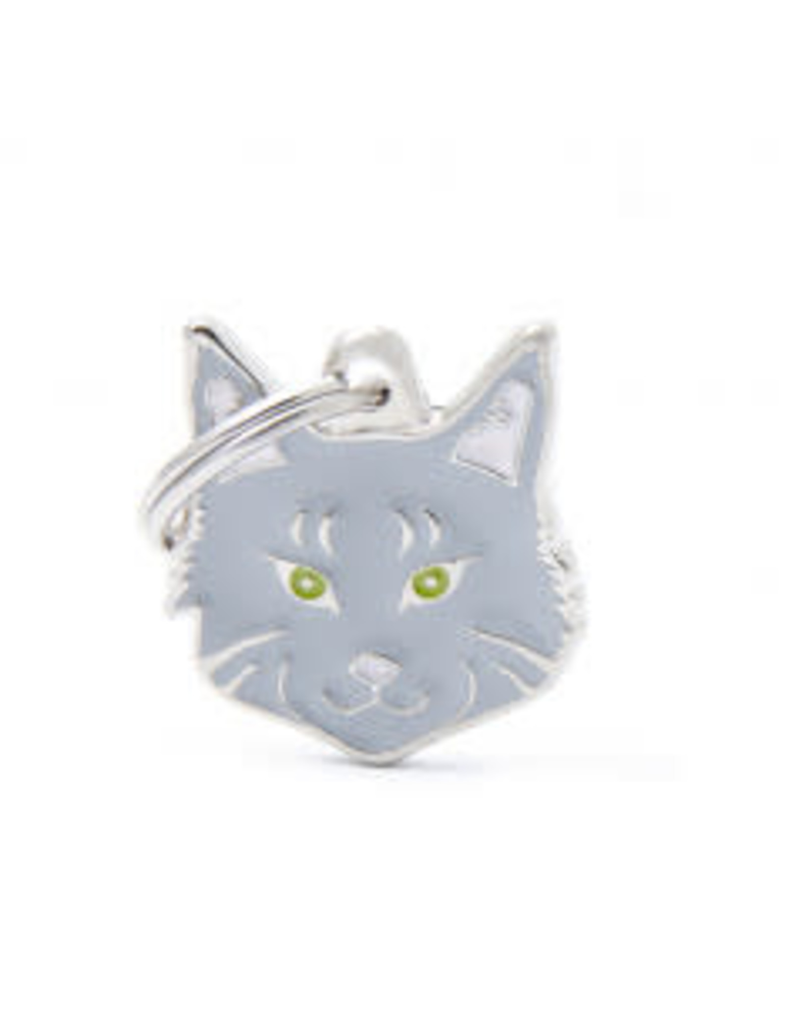 My Family Pet Tag- SILVER TABBY MAINE COON