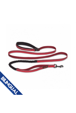 Company Of Animals CofA \ Halti All-in-One Lead \ Red \ Small