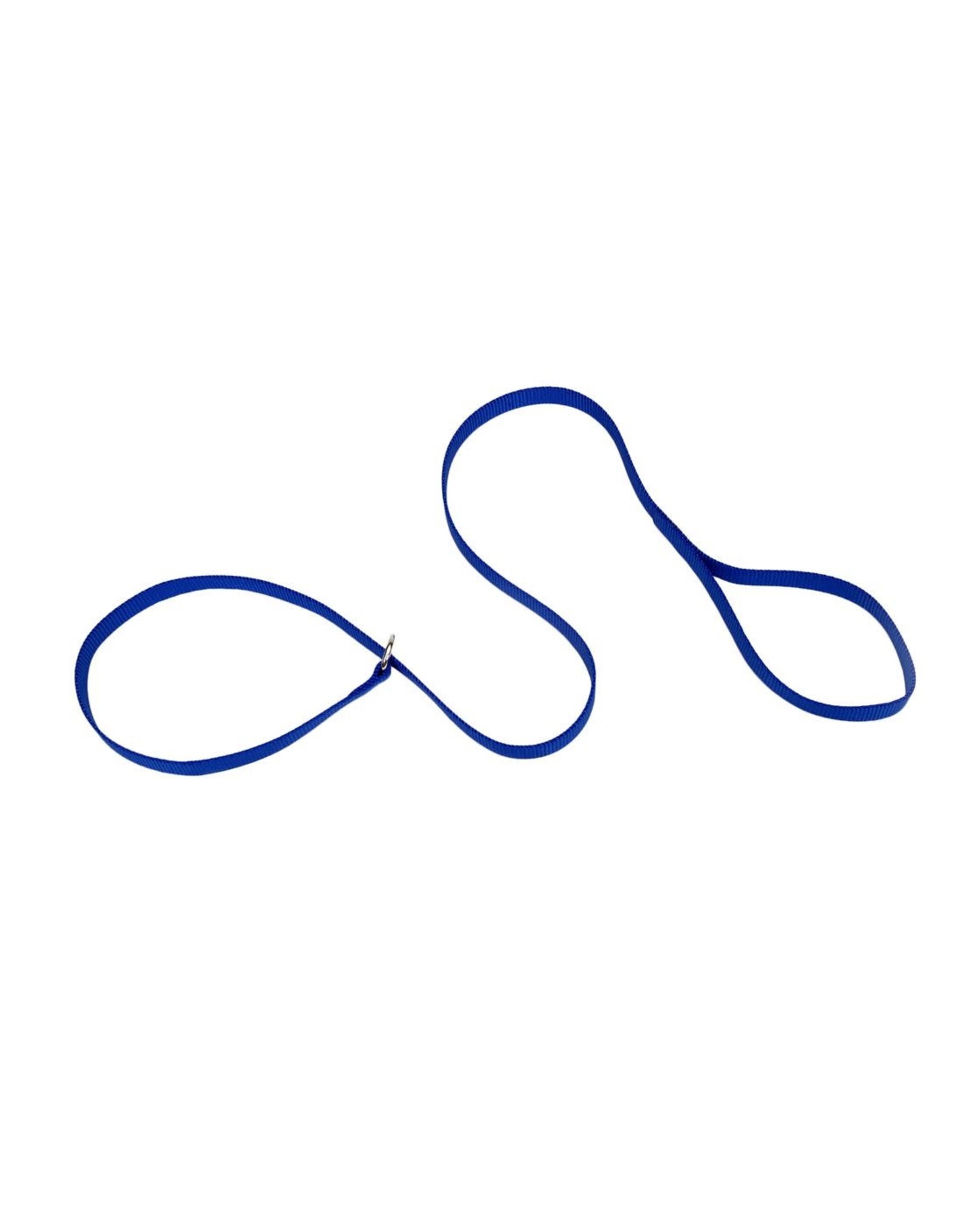 COASTAL COASTAL Nylon Kennel DOG Leash Blue