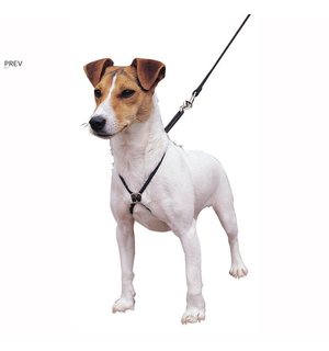 Lupi Harness Med Dog