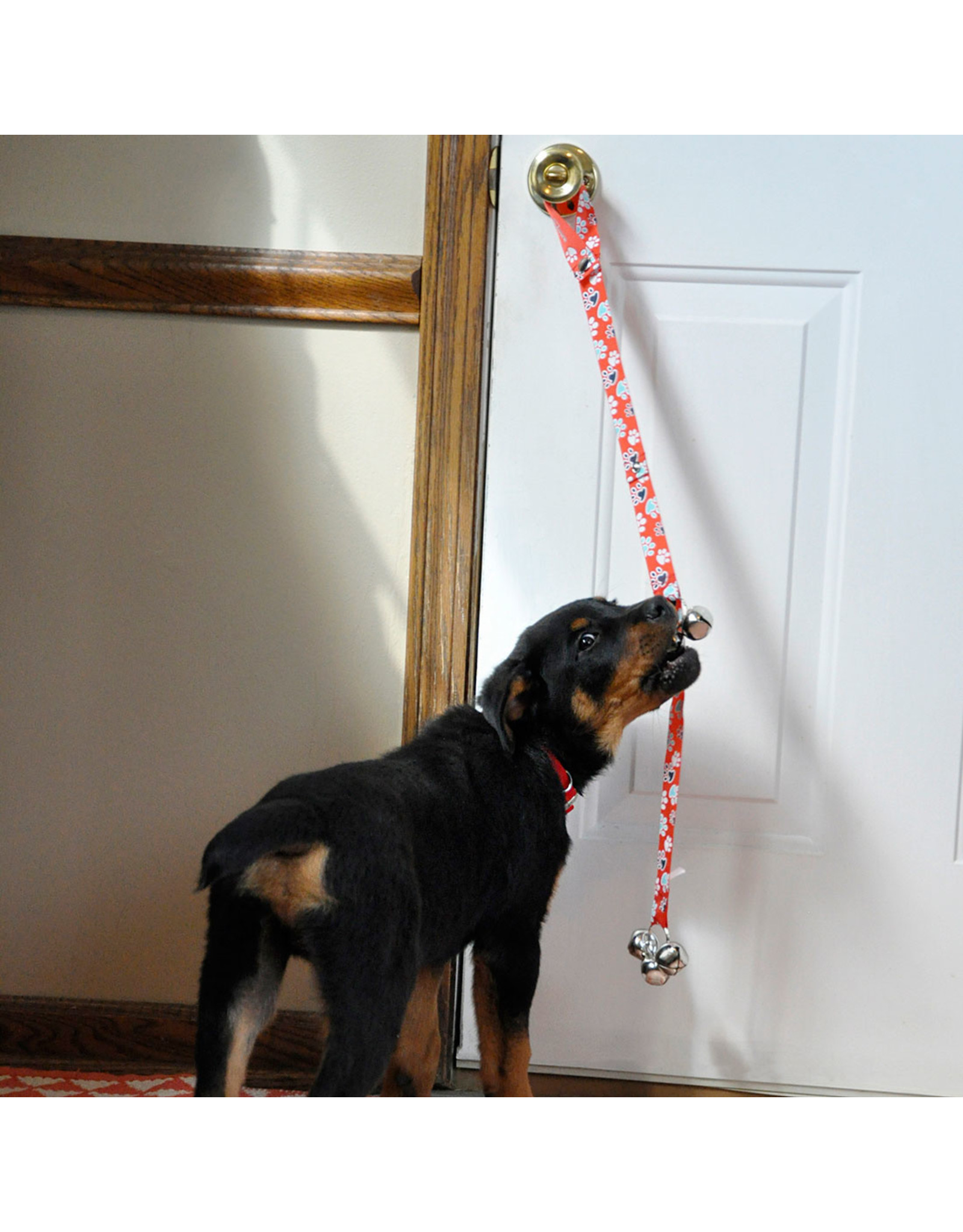 ADVANCE PET Advance Potty Training Bells Brown Paw and Bone