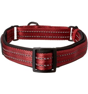 Alcott Alcott Martingale Collar with Reflective Stitching & Neoprene Padding