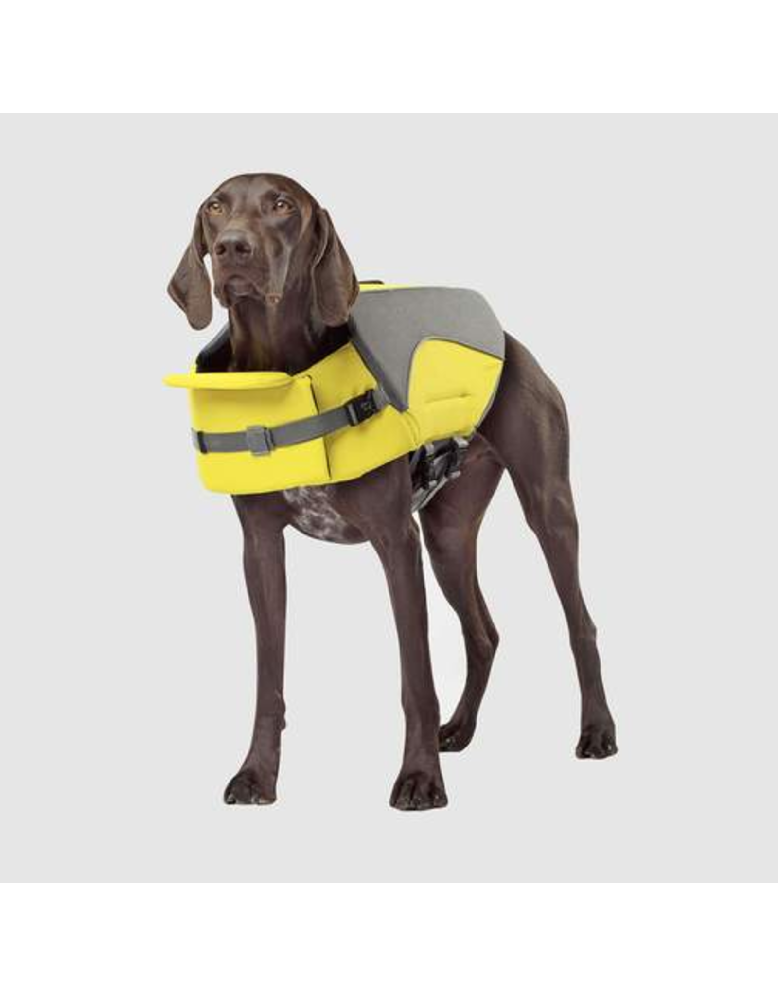 Canada Pooch Canada Pooch® Wave Rider Life Vest for Dogs Yellow XX-Large