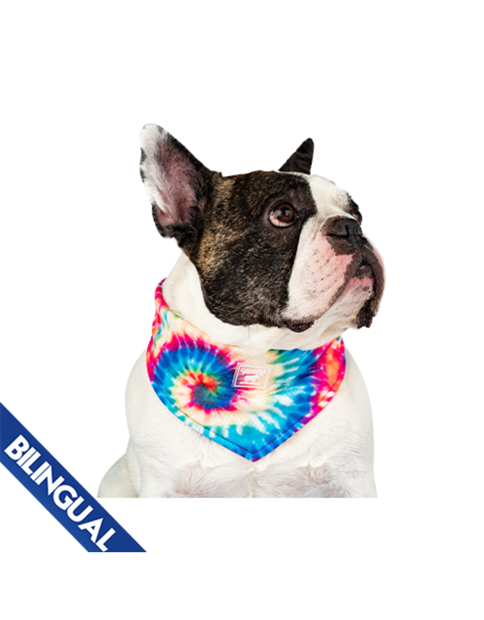 Canada Pooch Canada Pooch® Chill Seeker Cooling Bandana Tie Dye