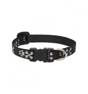 Lupine Lupine® Originals Collection Bling Bonz Combo Collar 3/4" x 10" to 14"