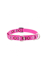 Lupine Lupine® Originals Collection Puppy Love Combo Collar 1" x 19" to 27"