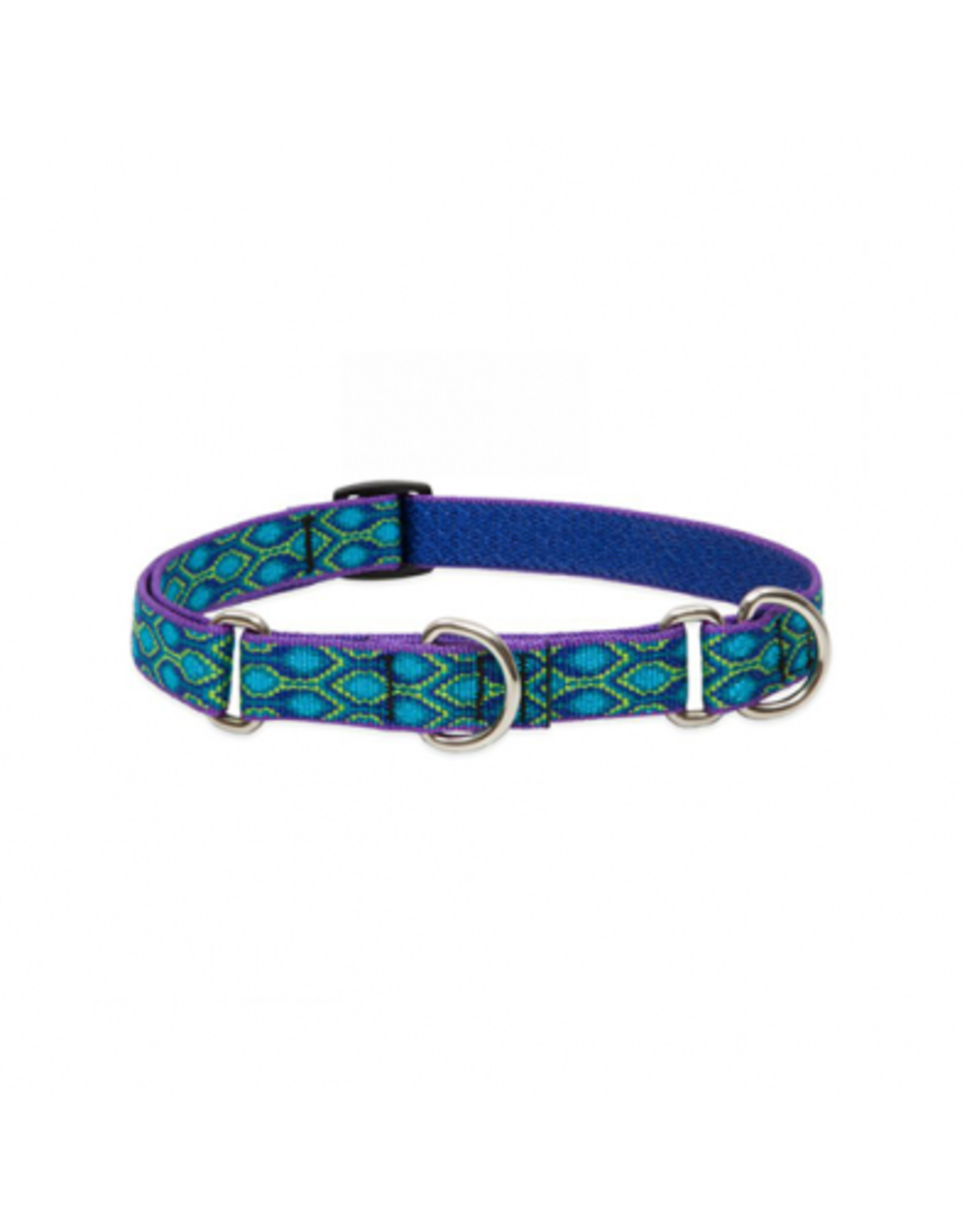 Lupine Lupine® Originals Collection Rain Song Combo Collar 1" x 19" to 27"