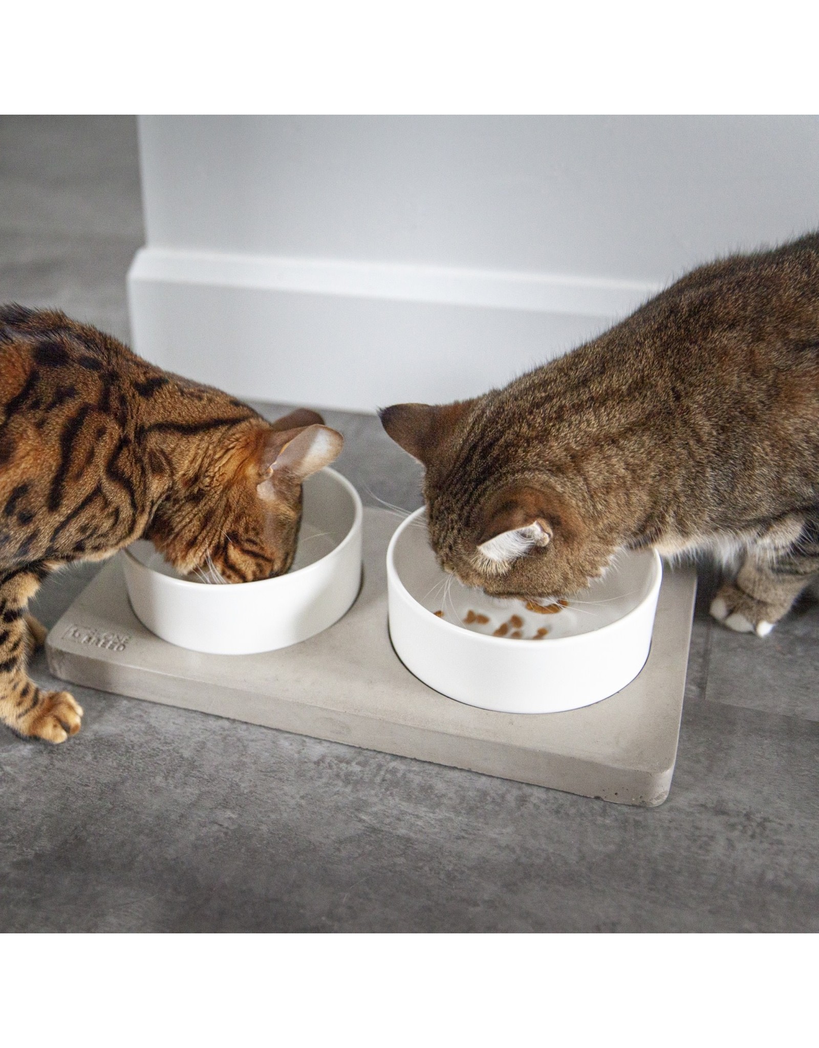 Beone Breed Be One Breed Concrete and Ceramic Bowls - Medium 750ml