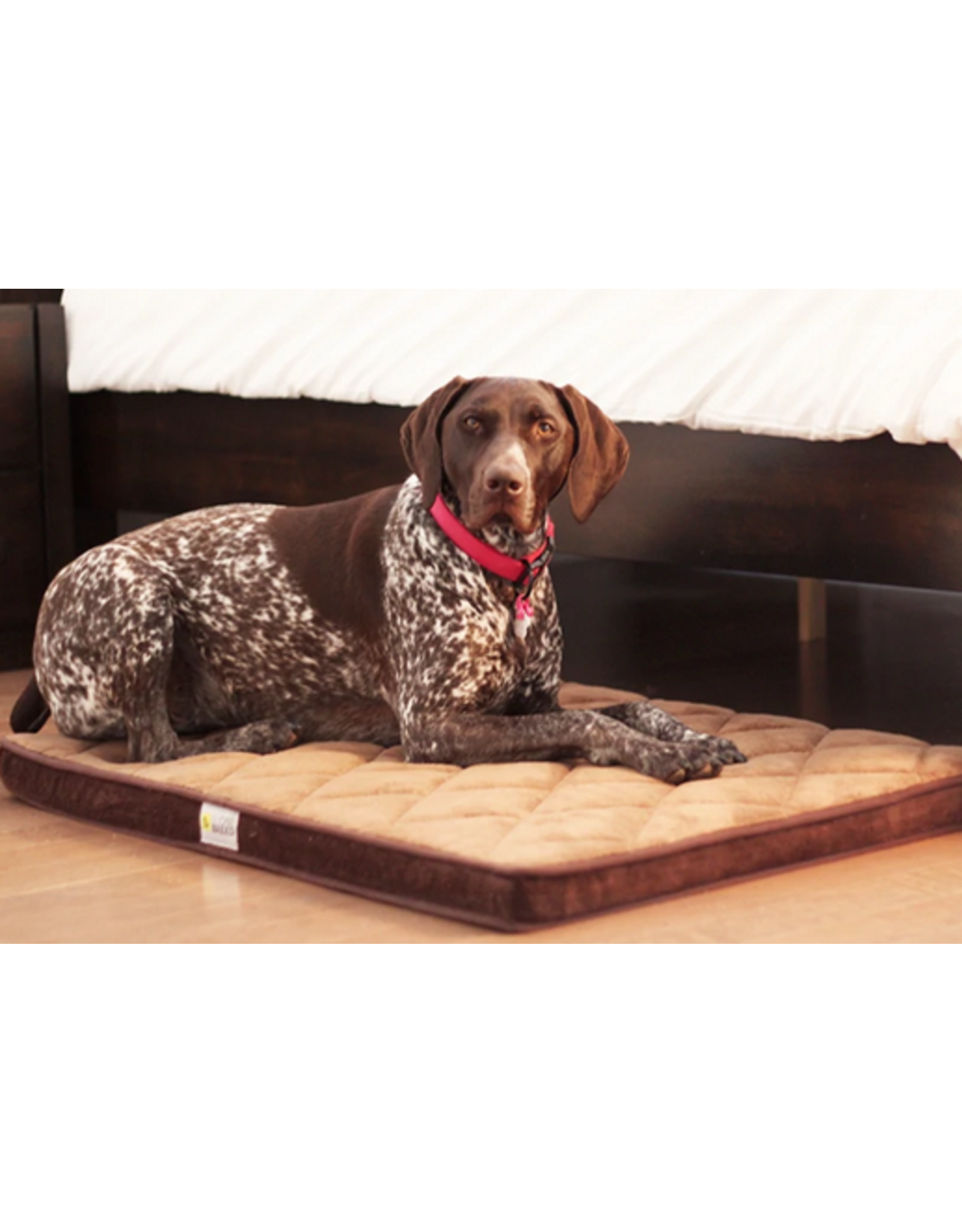 Diamond Be One Breed Diamond Bed - Brown - Medium