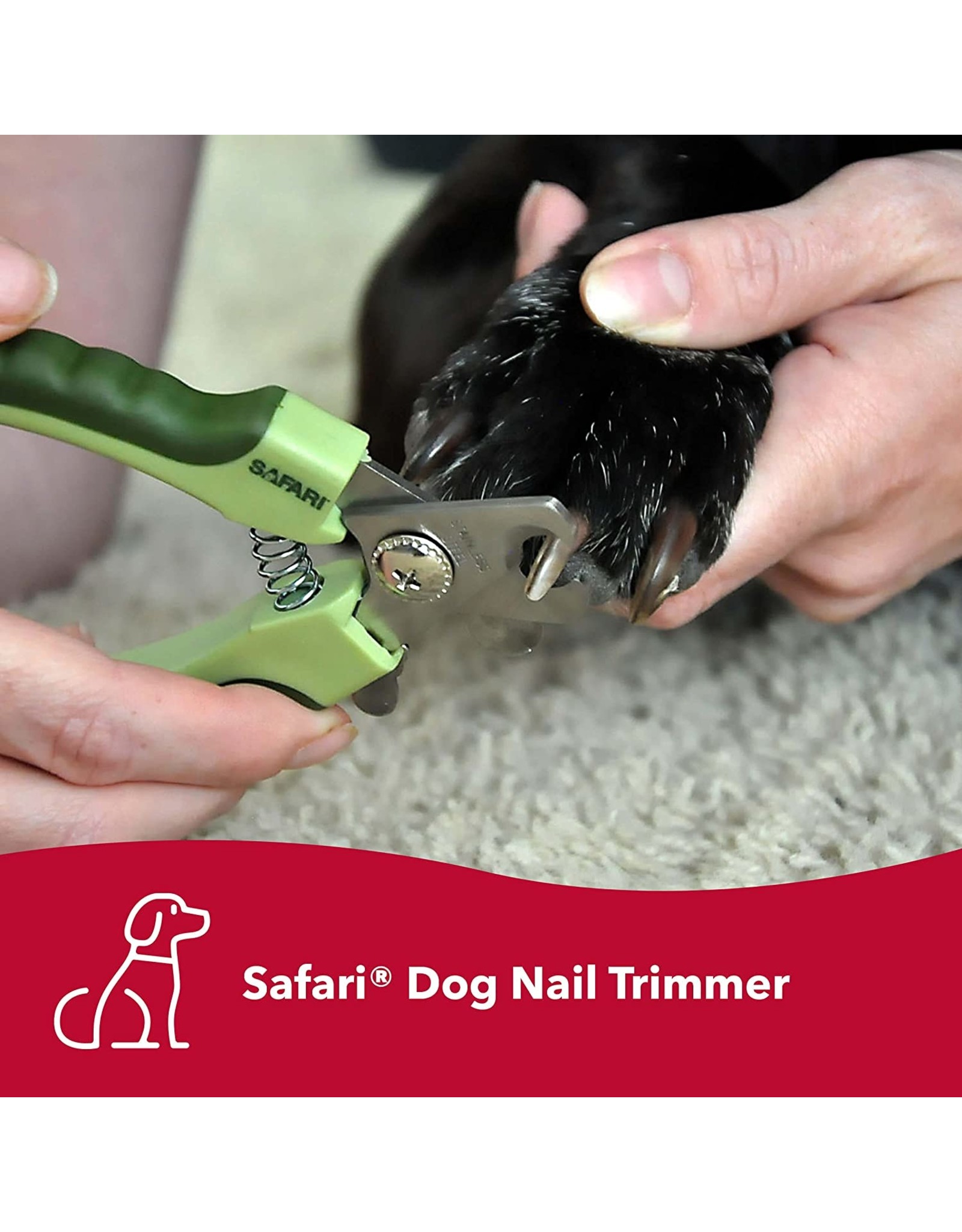SAFARI SAFARI Dog Professional Stainless Steel Nail Trimmer Large