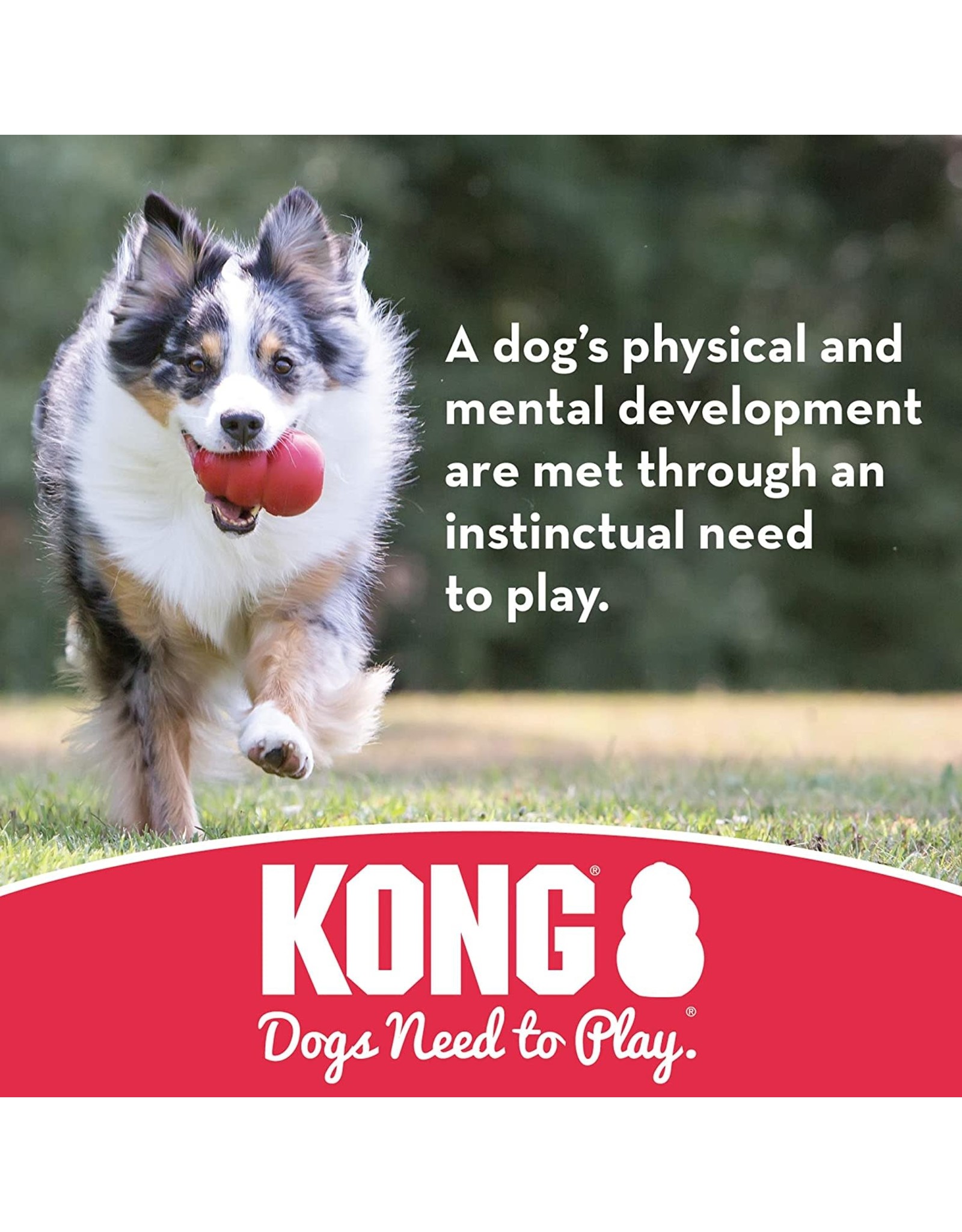 Kong KONG Flyer - Durable Rubber Flying Disc Dog Toy - For Small Dogs
