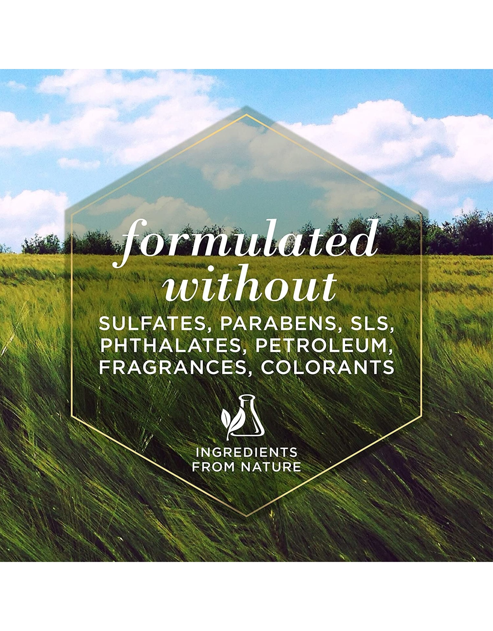 Burt's Bees Soothing Hot Spot Spray, 10-Ounce