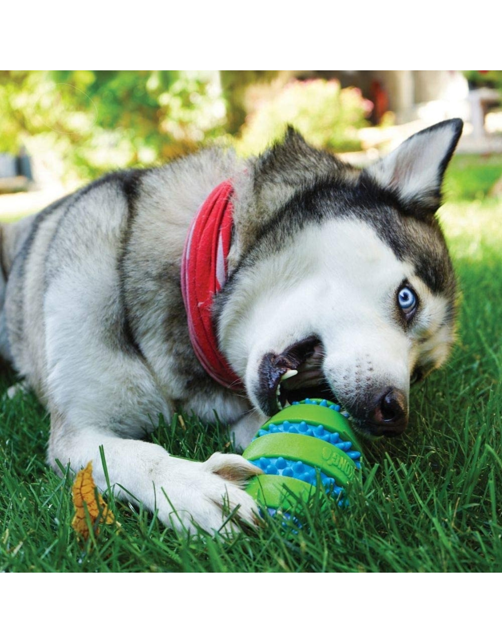 Kong Kong Dog Toys Squeezz Goomz Football Large