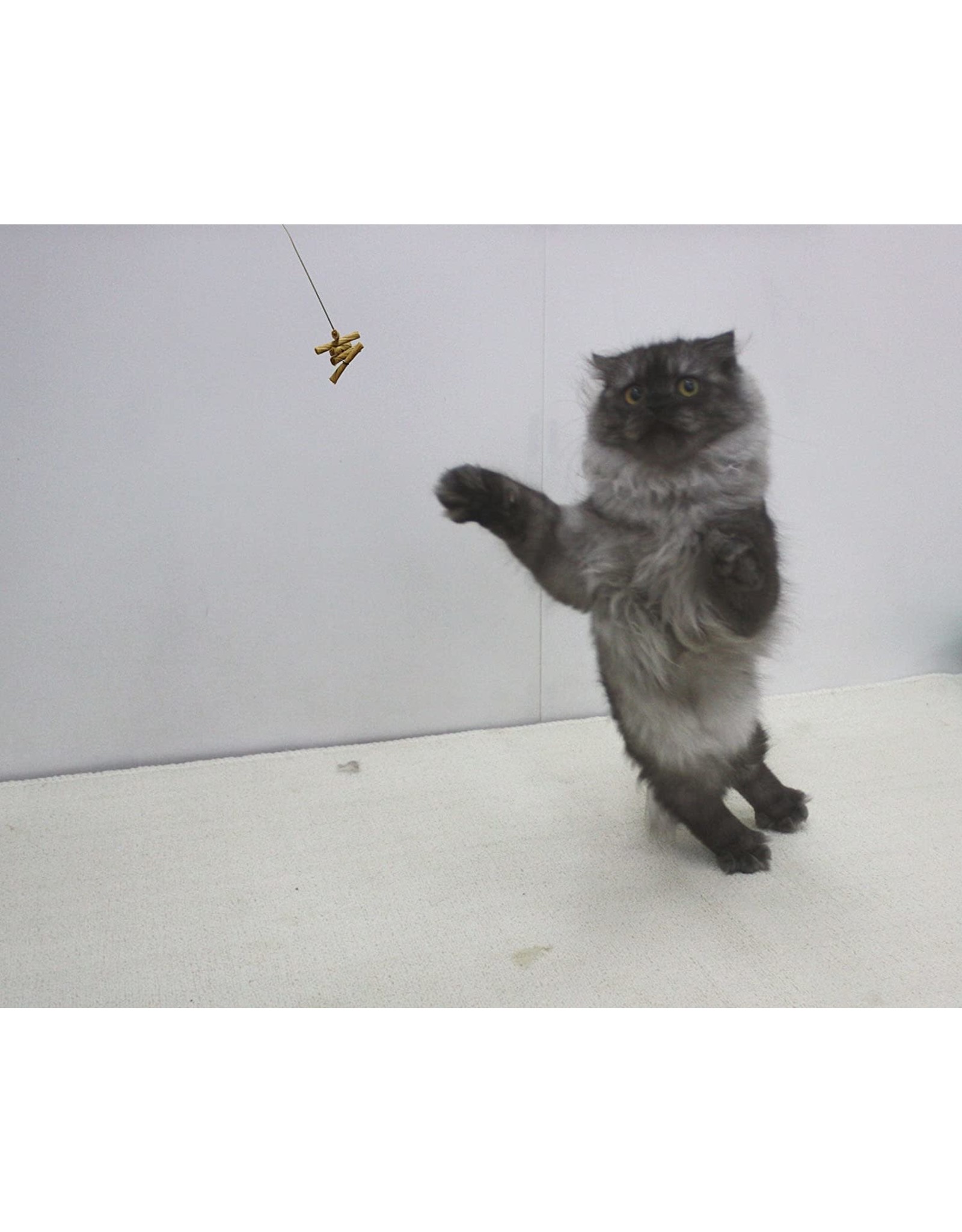 BG Cat Dancer® Interactive Cat Toy