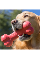 Kong Kong® Goodie Bone™ Classic Small Dog Toy