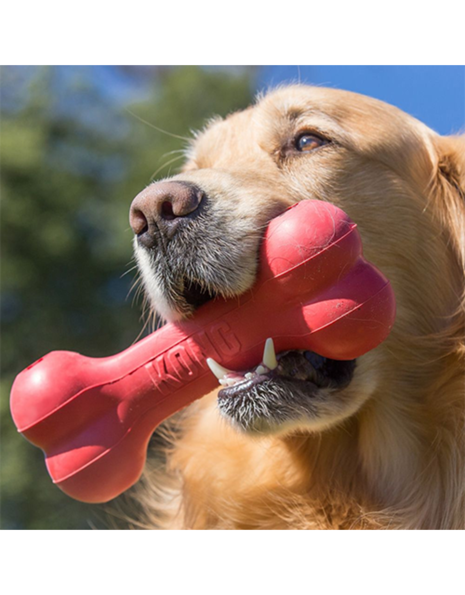 Kong Kong® Goodie Bone™ Classic Small Dog Toy