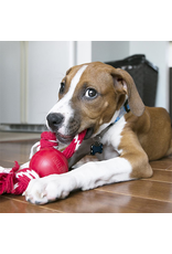 Kong® Ball with Rope  Dog Toy -Small