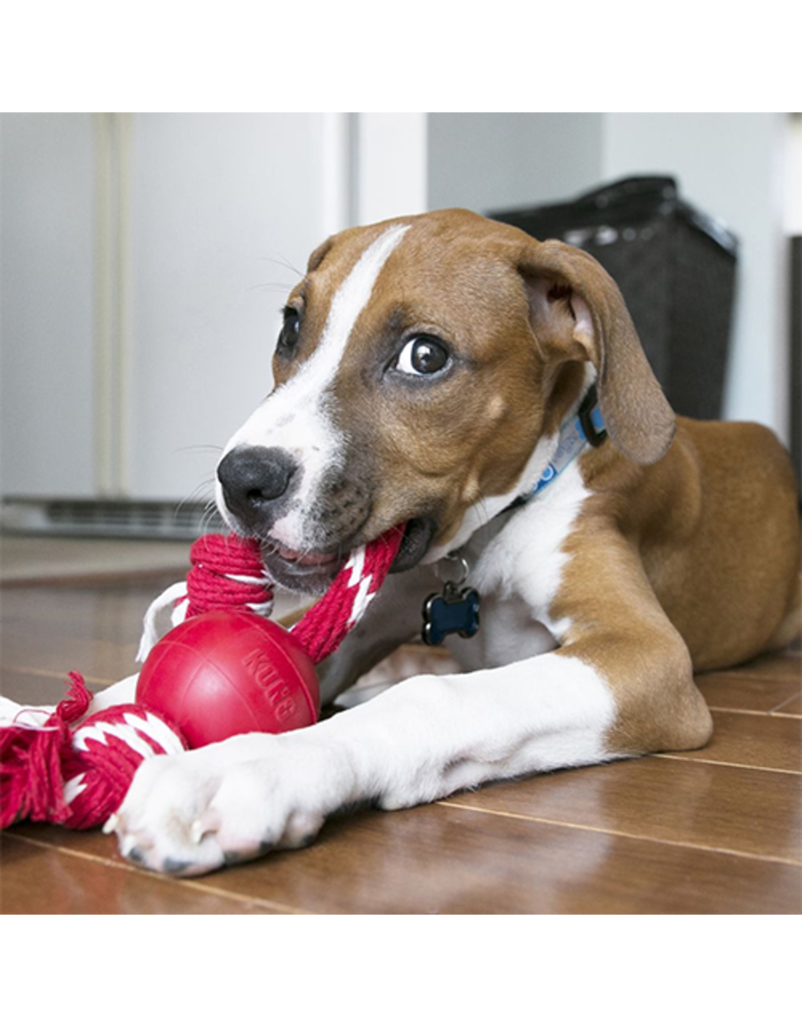 Kong® Ball with Rope  Dog Toy -Small