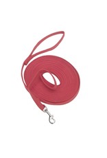 COASTAL Train Right Cotton Web Training Leash For Dog- Red 1X1PC 5/8inx30ft COASTAL Train Right Cotton Web Training Leash For Dog- Red 1X1PC 5/8inx30ft