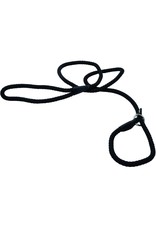 COASTAL Coastal Rope Slip Leash For Dog 1X1PC 6ft